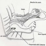 viiajeenauto8