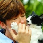 Enfermedad por arañazo de gato1