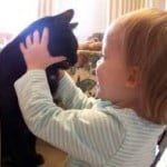 Enfermedad por arañazo de gato4