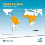 Fiebre amarilla2