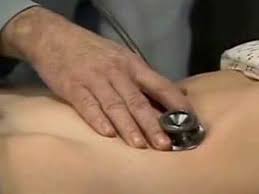 panza5